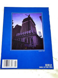 PUNISHER - P.O.V #2. VFN+ CONDITION.