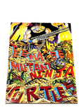 Teenage Mutant Ninja Turtles #34. Mirage Studios. 1990