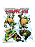 TEENAGE MUTANT NINJA TURTLES #25. FN+ CONDITION.