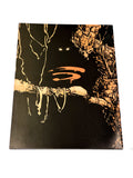 SUPERMAN/TARZAN - SONS OF THE JUNGLE #1. VFN CONDITION.