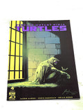 Teenage Mutant Ninja Turtles #4. IDW. 2024