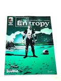 ENTROPY #1. NM- CONDITION.