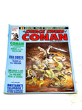 SAVAGE SWORD OF CONAN #17. FN- CONDITION.