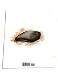 THE GOON VOL.3 #31. VFN CONDITION.