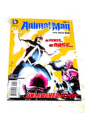 Animal Man Vol.2 #25. DC Comics. 2014