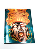 Fury of Firestorm Vol.2 #1. DC Comics. 2026