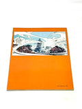 ROXANNA & THE QUEST FOR THE TIME BIRD VOL.4. VFN CONDITION.