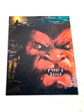 WEREWOLF BY NIGHT VOL.2 #1. VFN CONDITION.