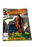 Daredevil Vol.1 #251. Marvel Comics. 1987