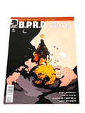 BPRD - THE DEVIL YOU KNOW #15. NM CONDITION.